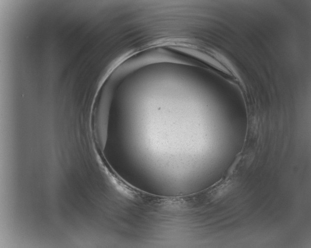 X0000068261050200604281520