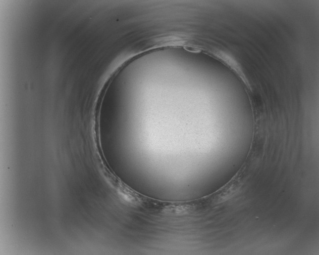 X0000068261051200604281520