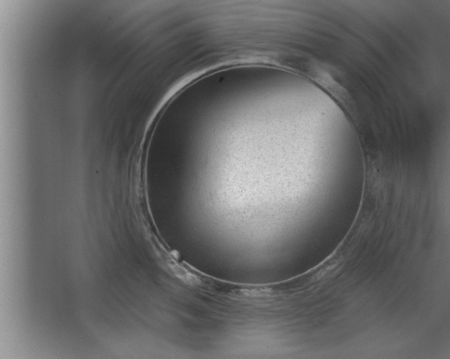 X0000068261052200604281520