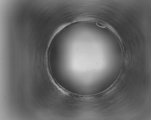 X0000068261053200604281520