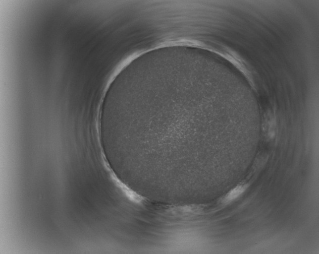 X0000068261054200604281520