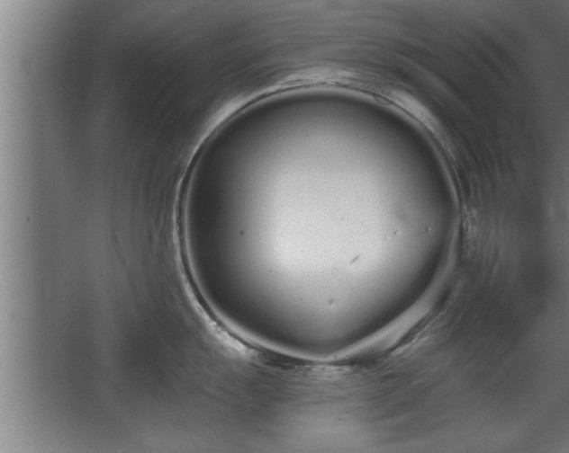 X0000068261055200604281521