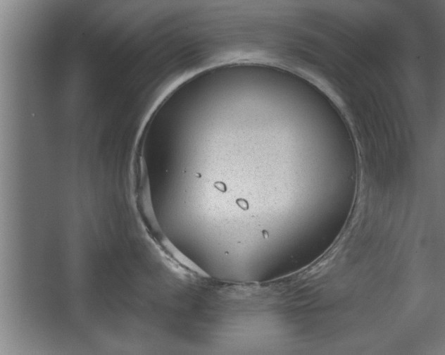 X0000068261056200604281521