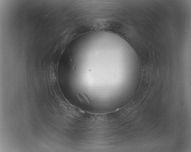 X0000068261058200604281520