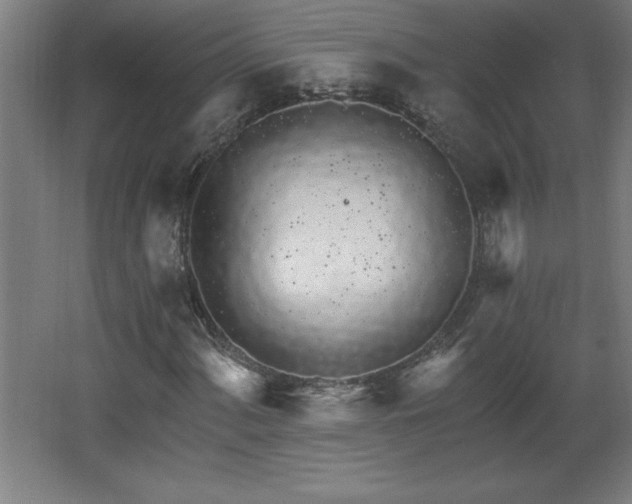 X0000068261060200604281520