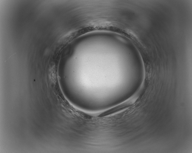 X0000068261063200604281520