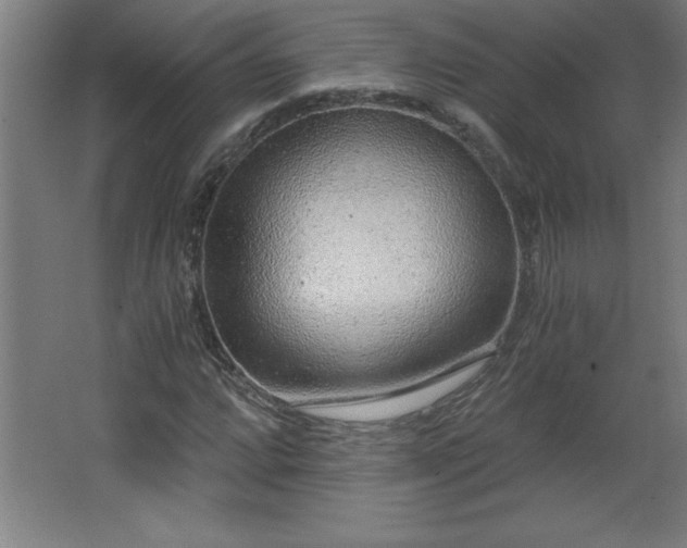 X0000068261064200604281520