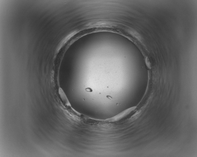 X0000068261066200604281520