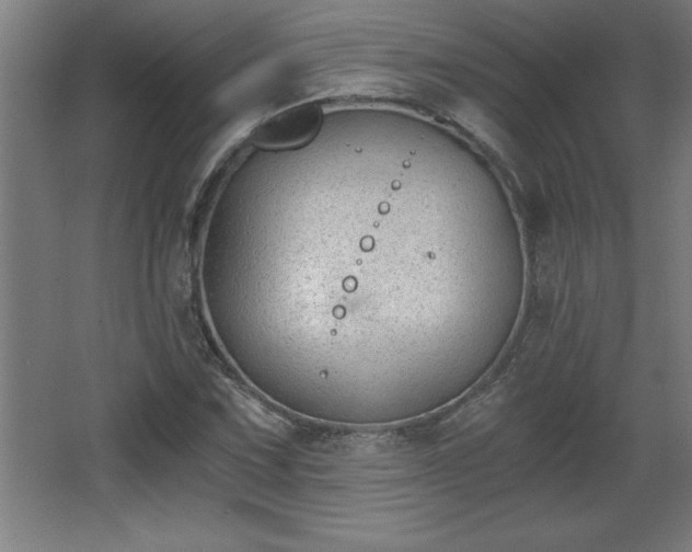 X0000068261067200604281520