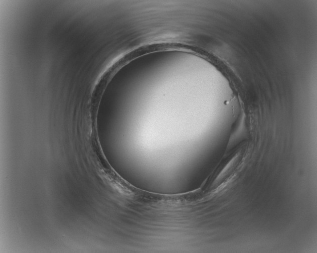 X0000068261069200604281520