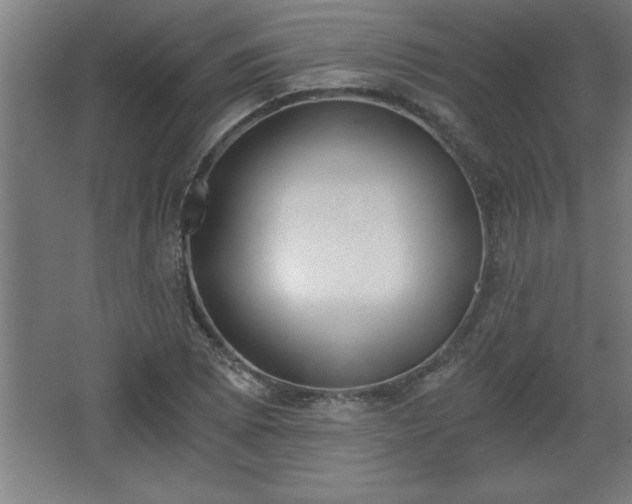 X0000068261073200604281519