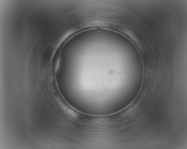 X0000068261075200604281519