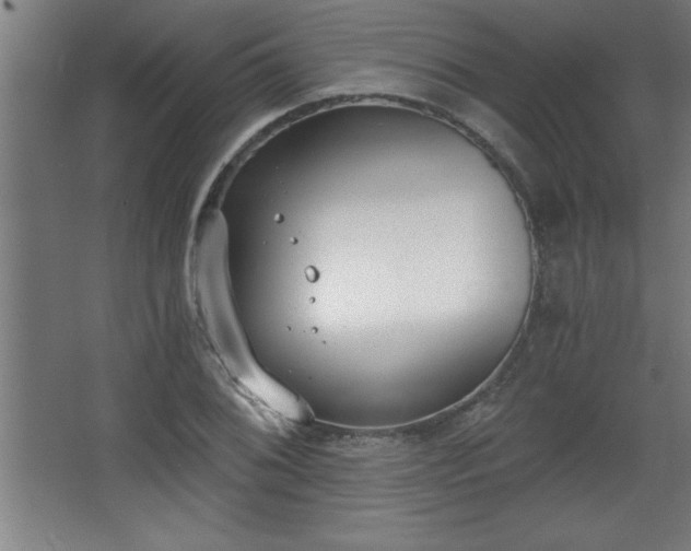 X0000068261076200604281519