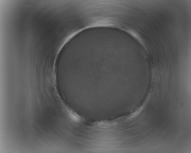 X0000068261077200604281519