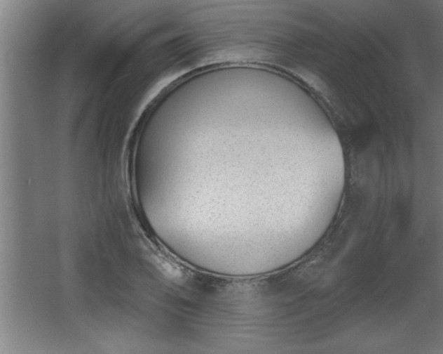 X0000068261078200604281519