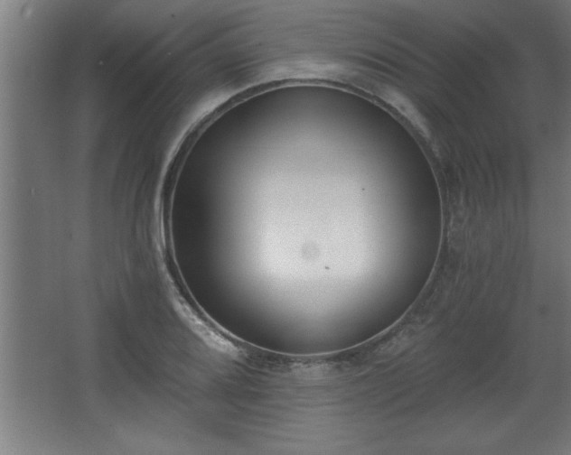 X0000068261080200604281519