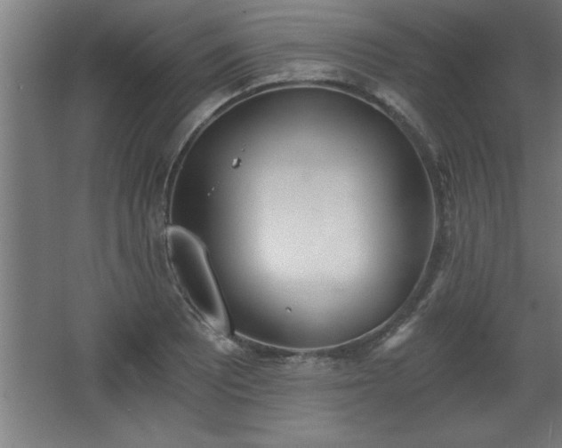 X0000068261081200604281519