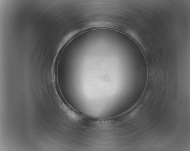 X0000068261082200604281519