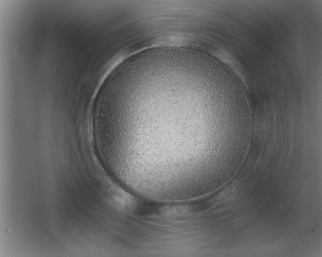 X0000068261083200604281519