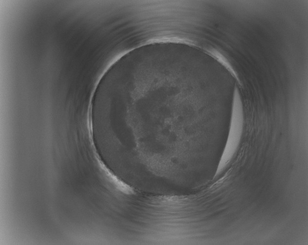 X0000068261084200604281519