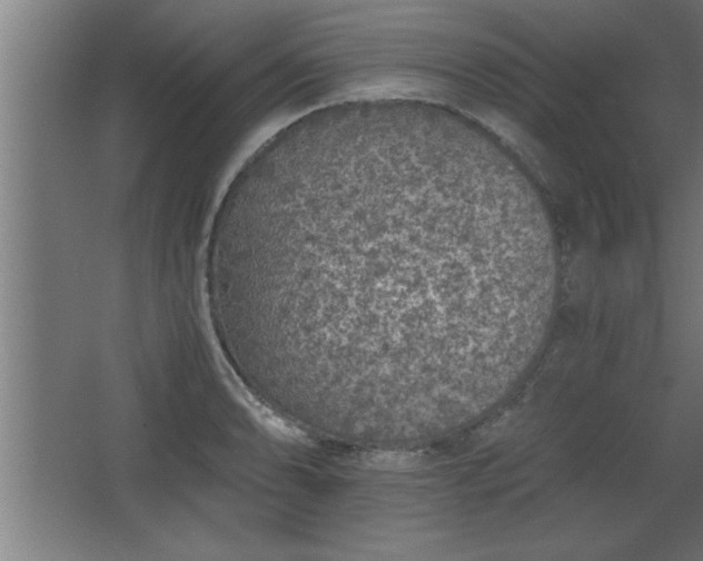 X0000068261086200604281519