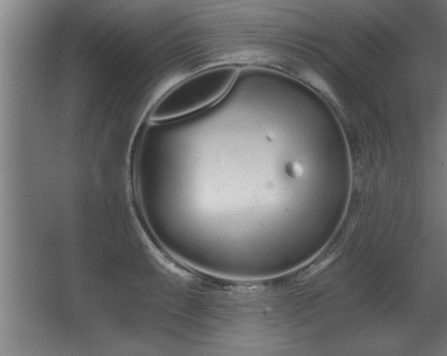 X0000068261087200604281519