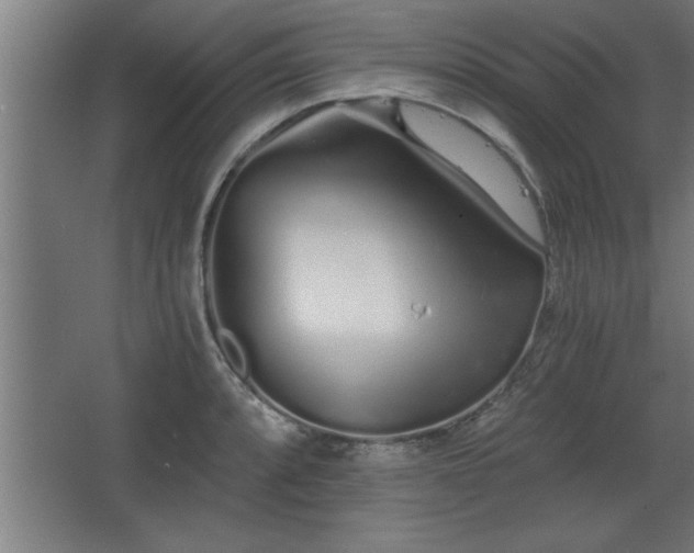 X0000068261088200604281519