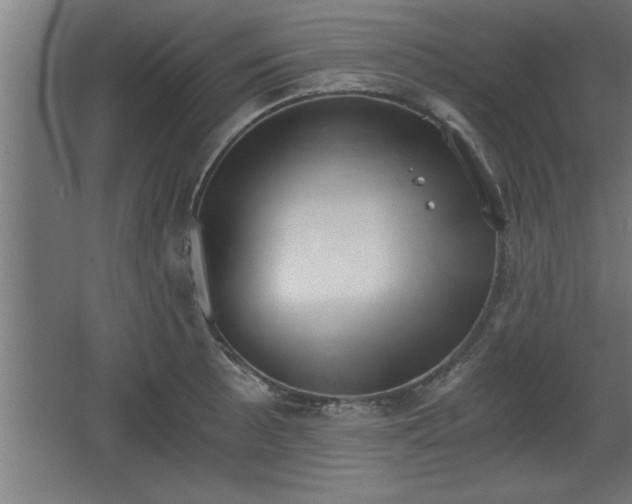 X0000068261089200604281519