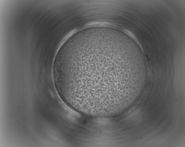 X0000068261090200604281519