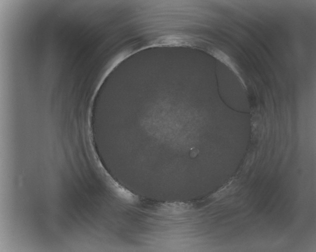 X0000068261091200604281519