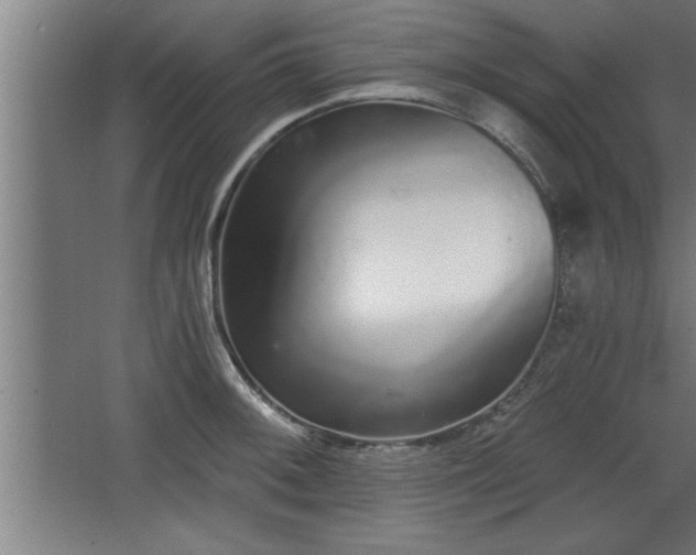 X0000068261092200604281519