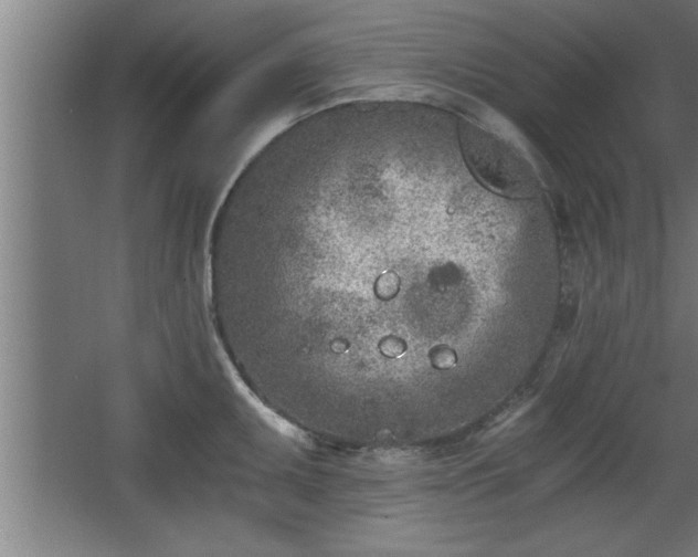 X0000068261095200604281519