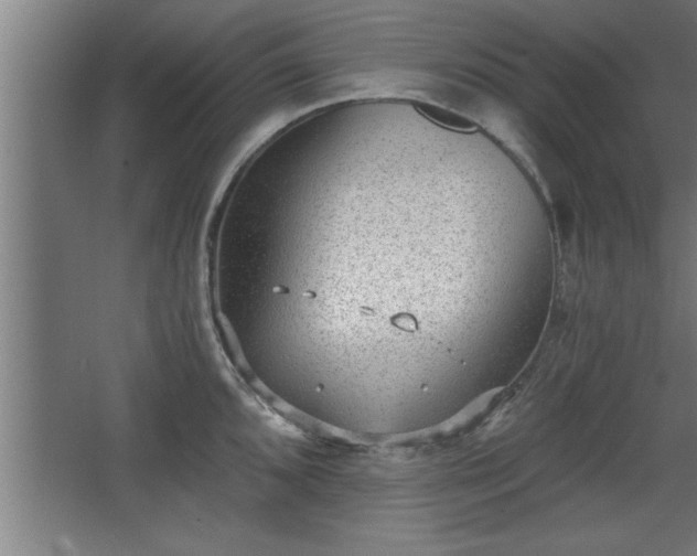 X0000068261096200604281519