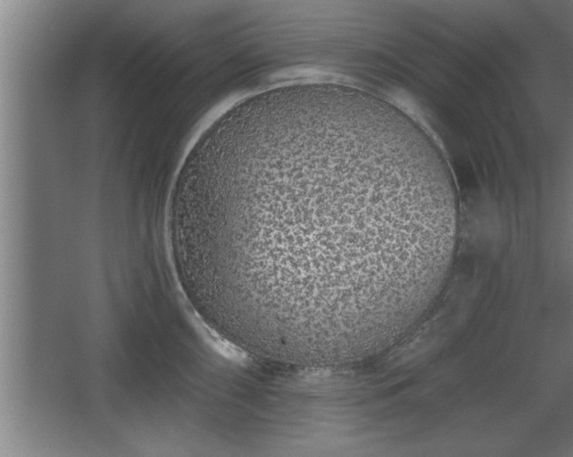 X0000068261098200604281519