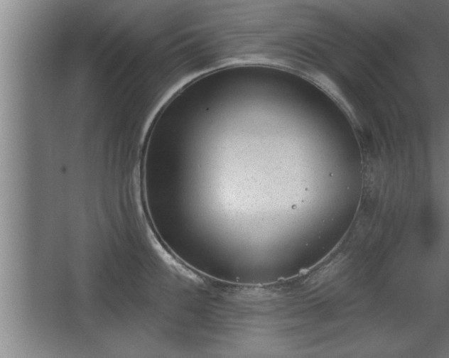 X0000068261100200604281519