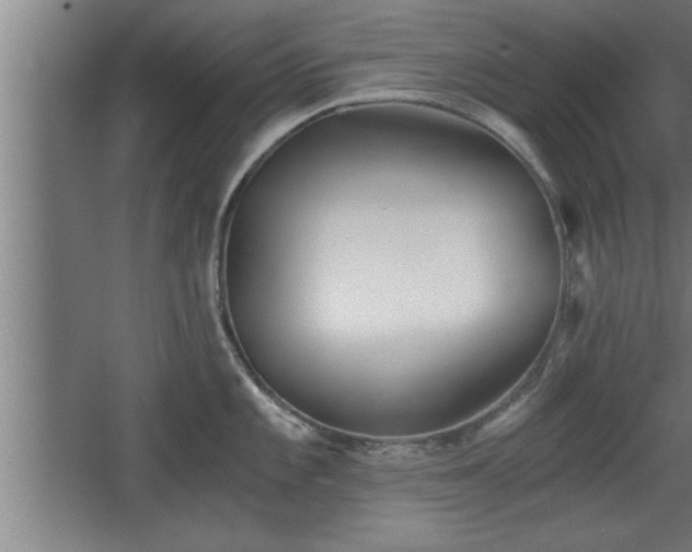 X0000068261101200604281519