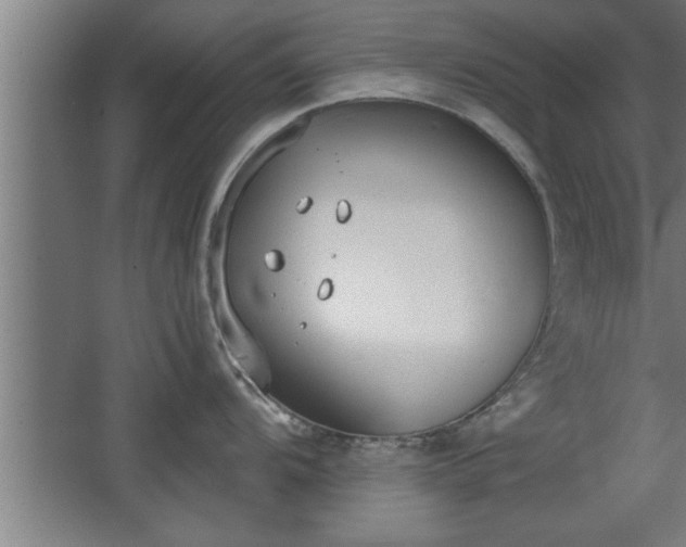 X0000068261104200604281519