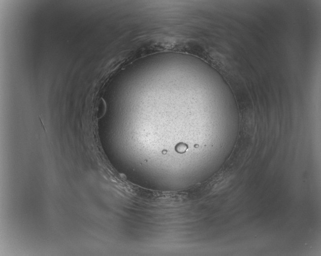 X0000068261105200604281518