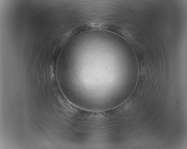 X0000068261106200604281518