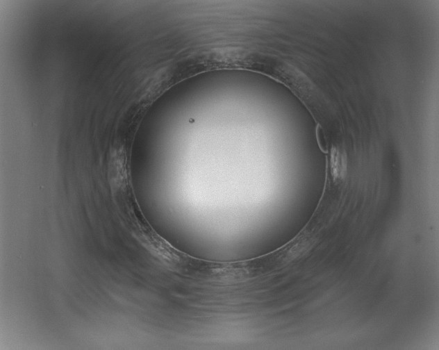 X0000068261107200604281518