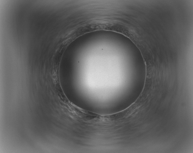 X0000068261109200604281518