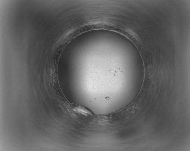 X0000068261111200604281518