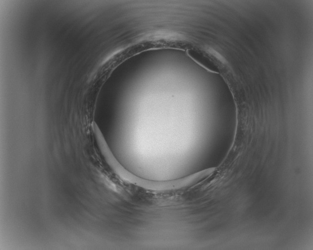 X0000068261112200604281518