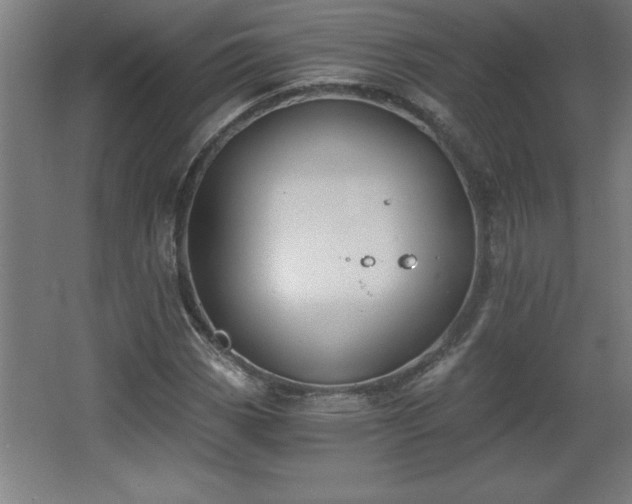 X0000068261113200604281518