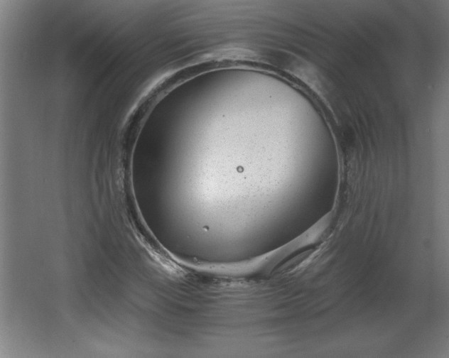 X0000068261115200604281518