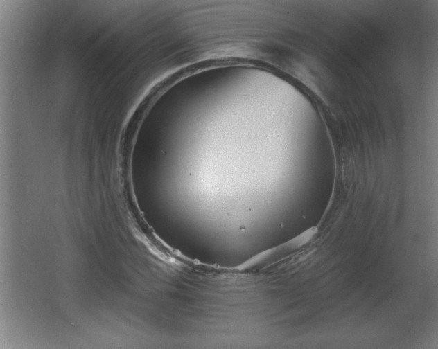 X0000068261116200604281518