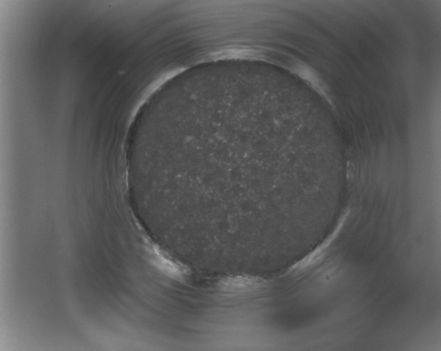 X0000068261117200604281518