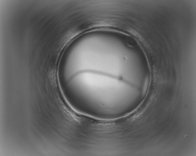 X0000068261121200604281518