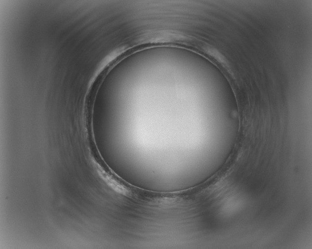 X0000068261122200604281518