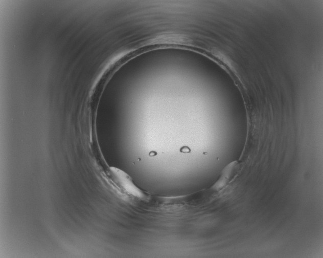 X0000068261123200604281518